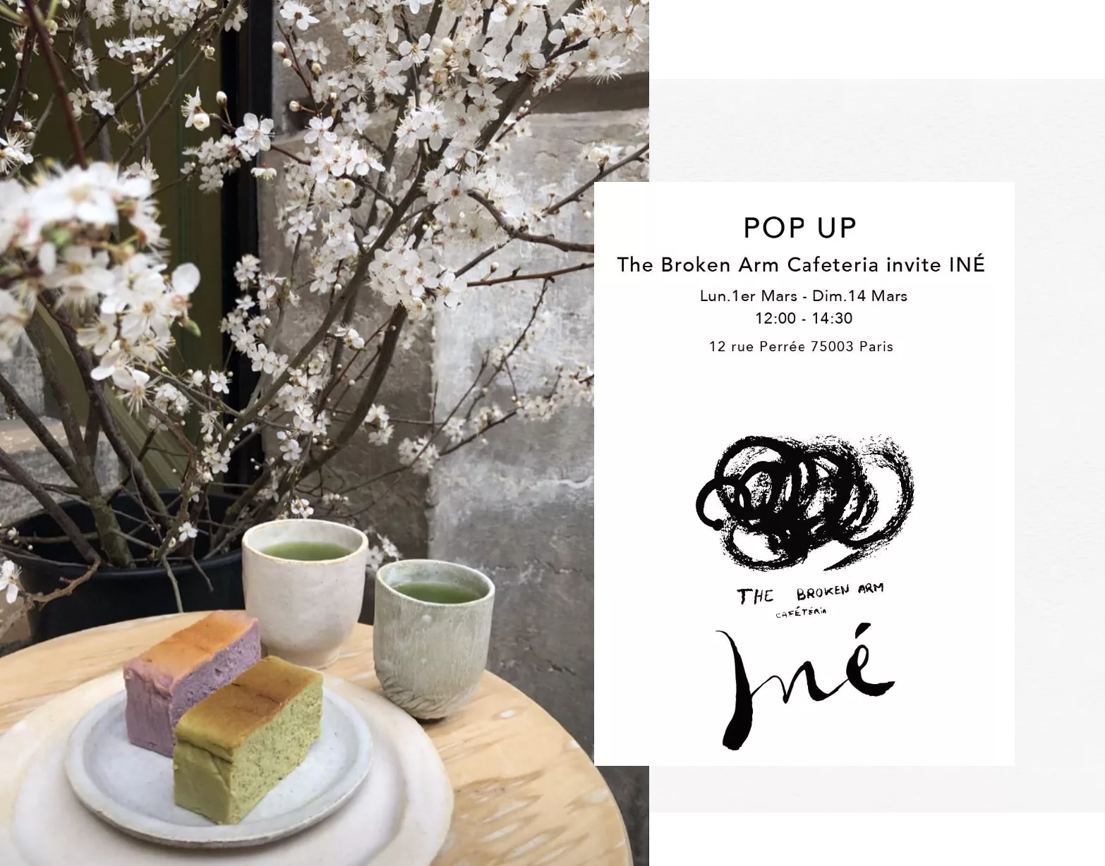 ine_special_projects_1